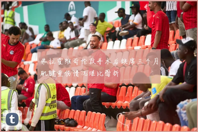 弗拉霍维奇伦敦手术后缺席三个月肌腱重伤情况堪比骨折