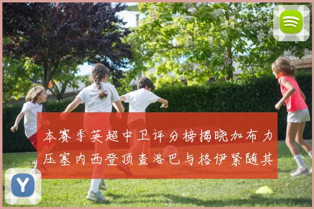 本赛季英超中卫评分榜揭晓加布力压塞内西登顶查洛巴与格伊紧随其后