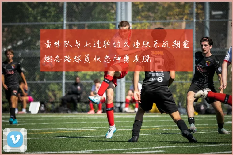 黄蜂队与七连胜的久违联系近期重燃各路球员状态神勇表现